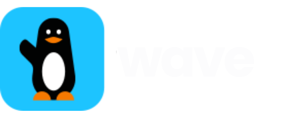 Wave Mobile Money